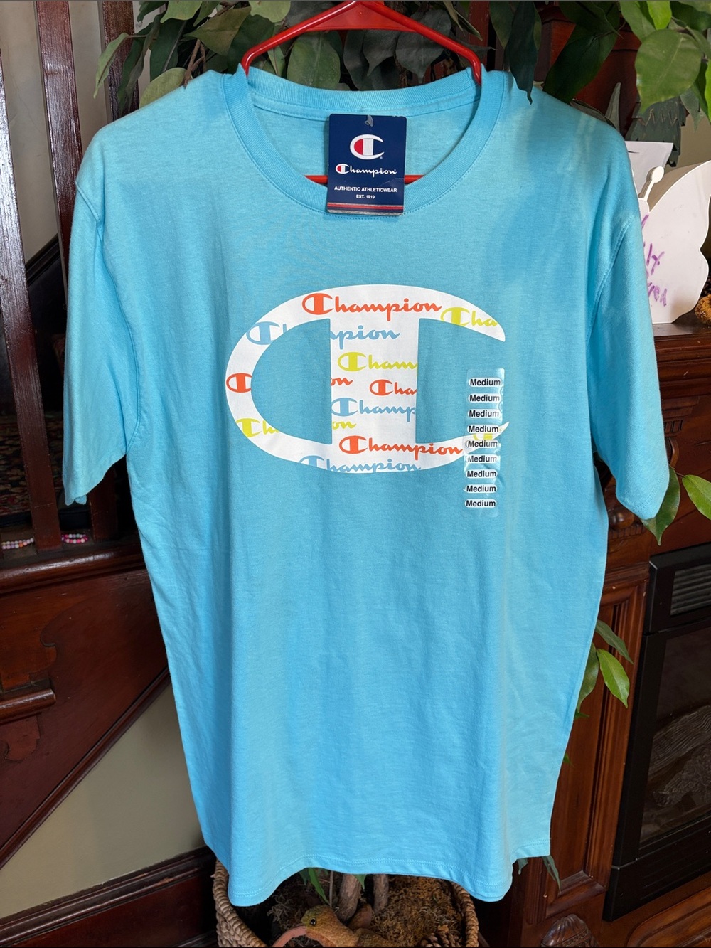 Brand new Champion Tshirt